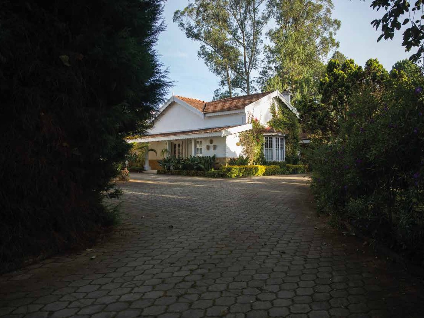 Marli Hill Bungalow at the end of its drive, framed by tall trees in Ooty