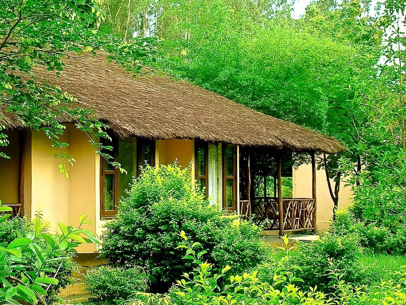 Jim’s Jungle Retreat in Corbett, India