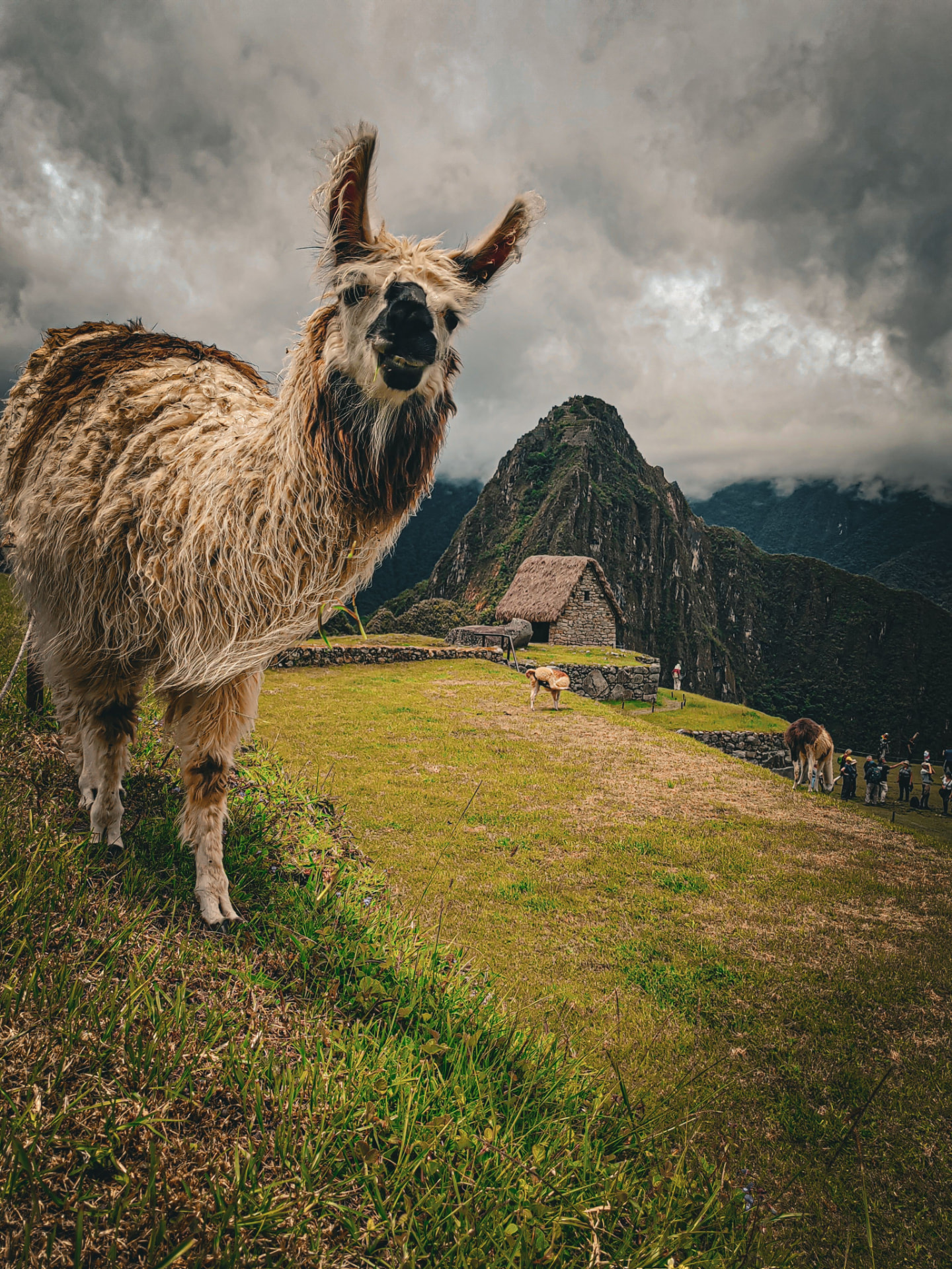 Peru