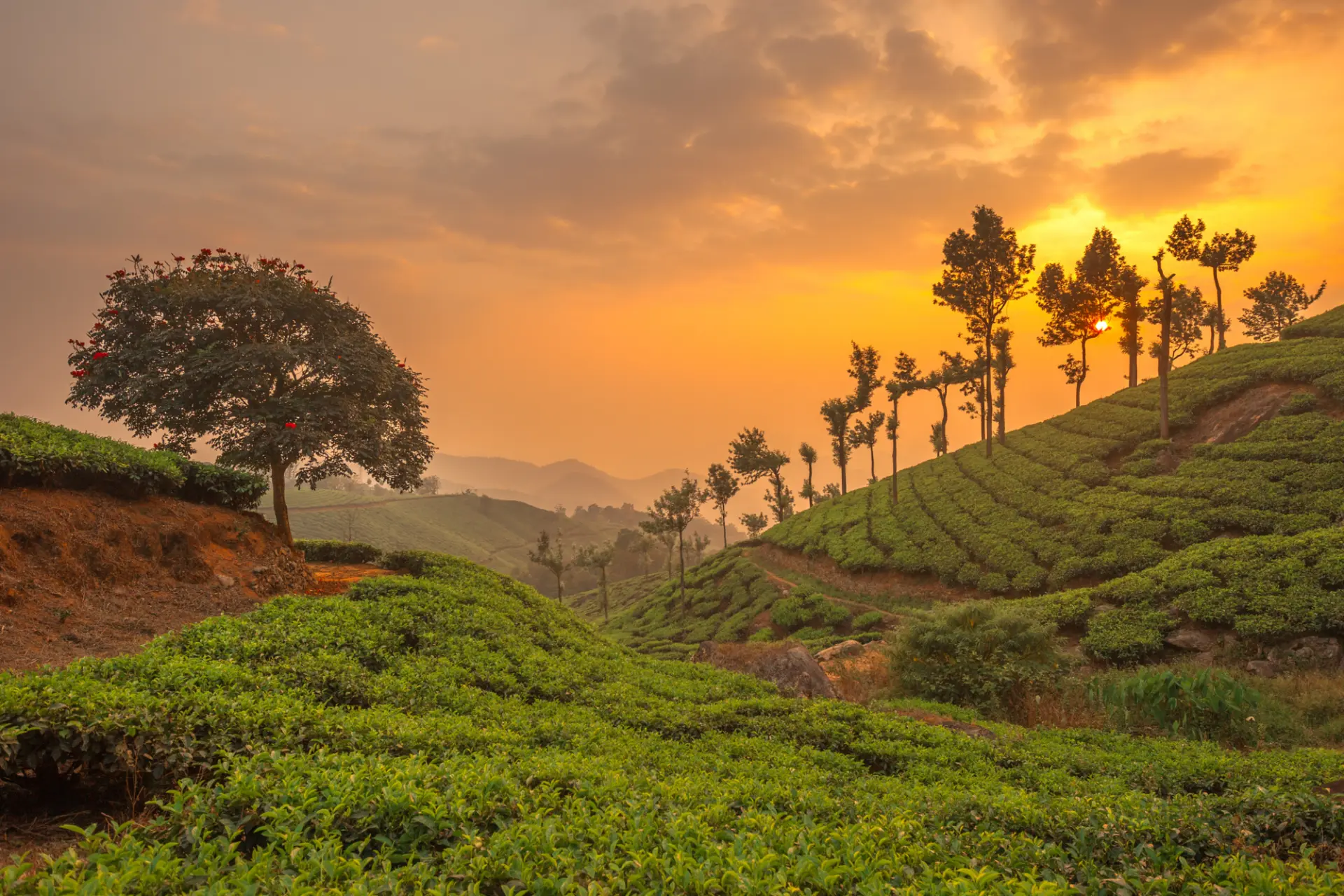 Classic All Kerala itinerary in Kerala