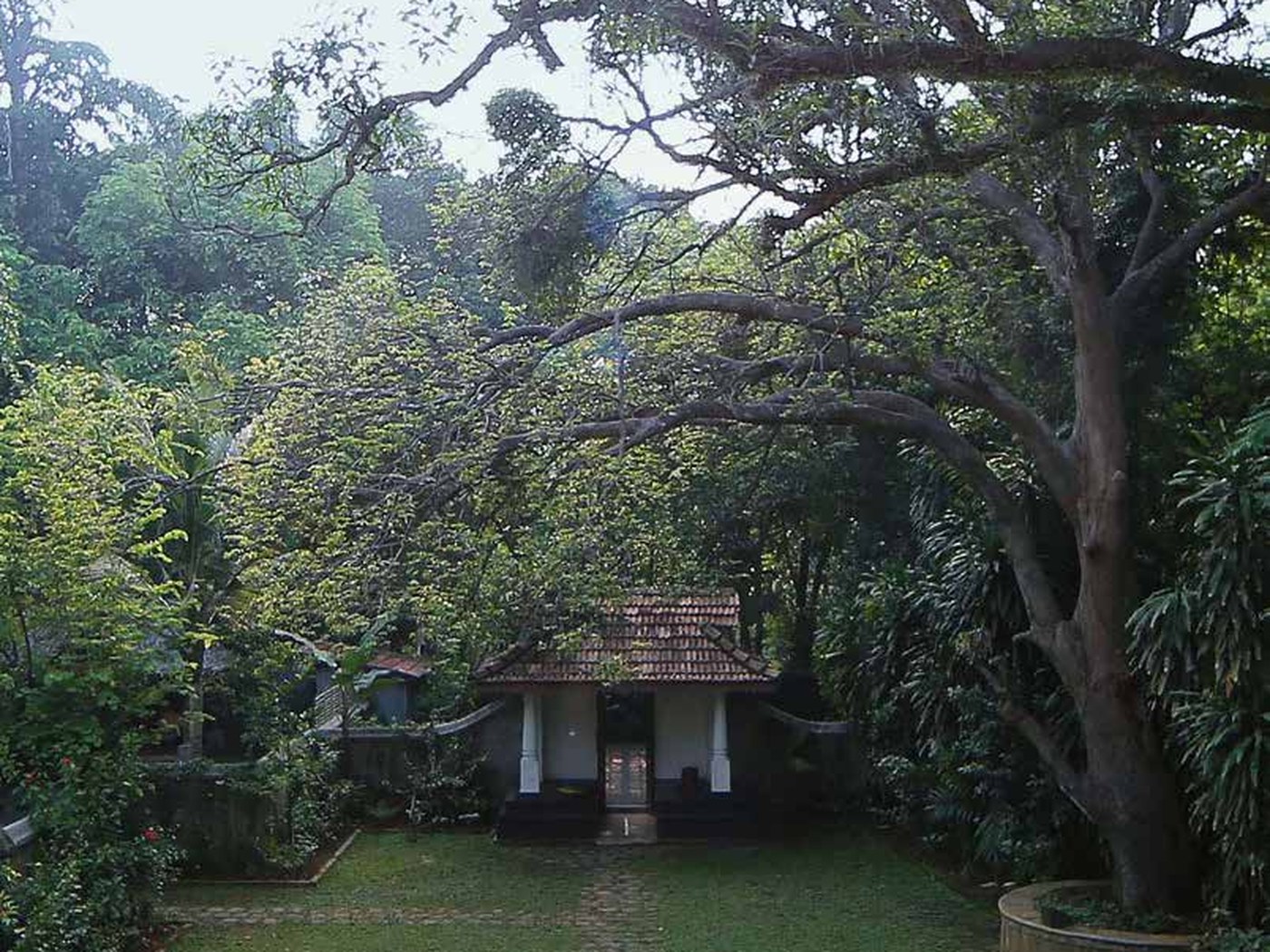 Lawn and old trees framing Chittoor Kottaram