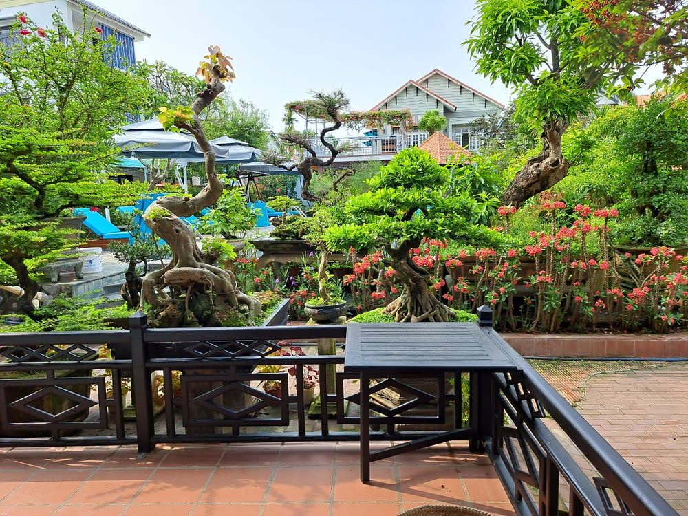 Photograph of Betel Garden Homestay in Hoi An