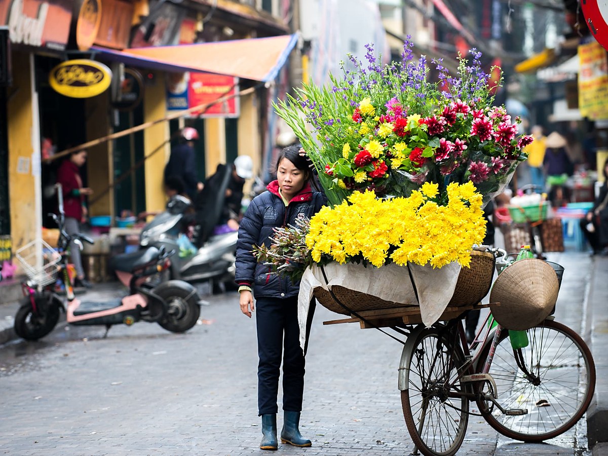 Classic Vietnam Discovery, a tailor-made Vietnam itinerary