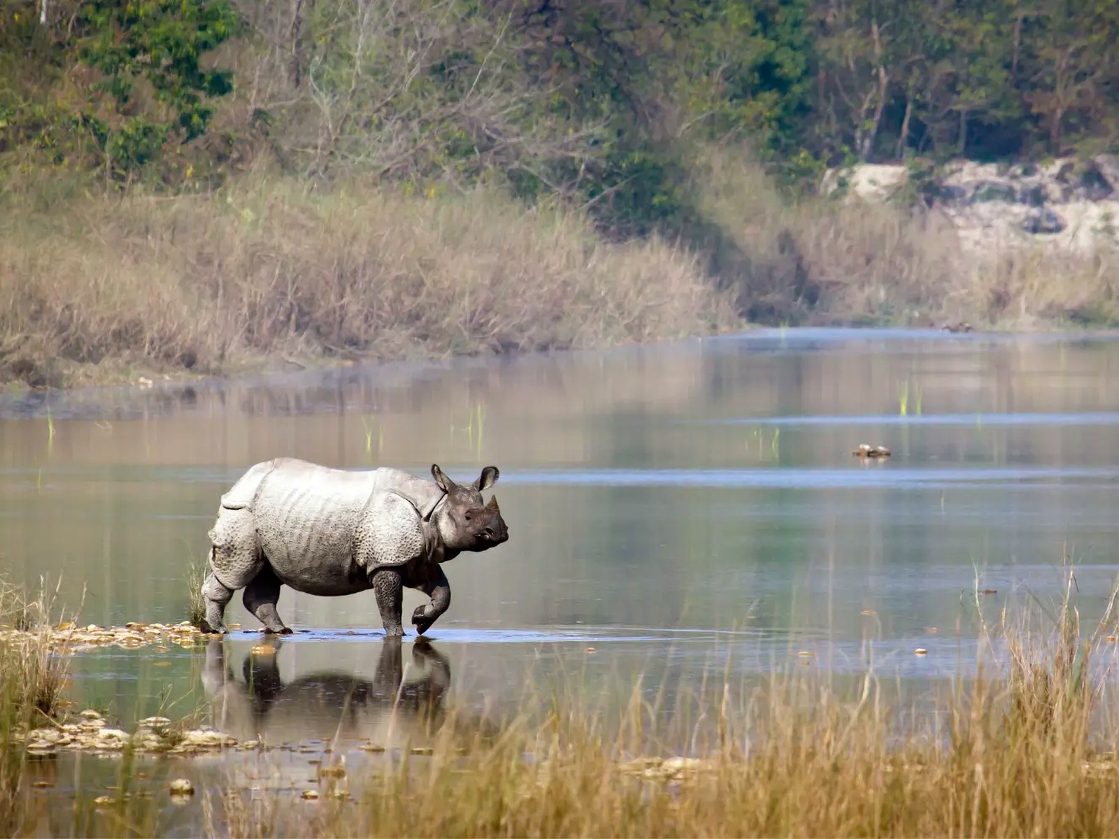 The Magnificent Seven itinerary in India