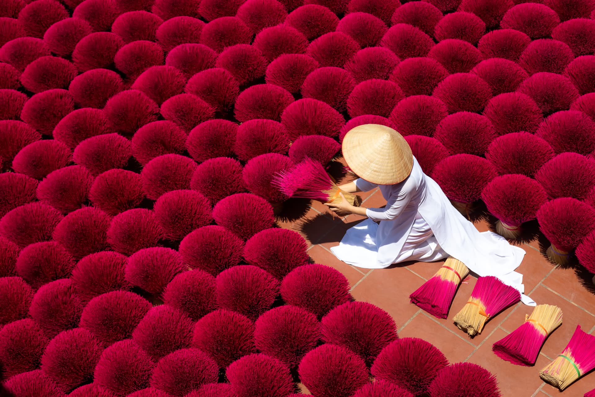 A woman in a conical hat arranging bright pink incense sticks to dry in Vietnam