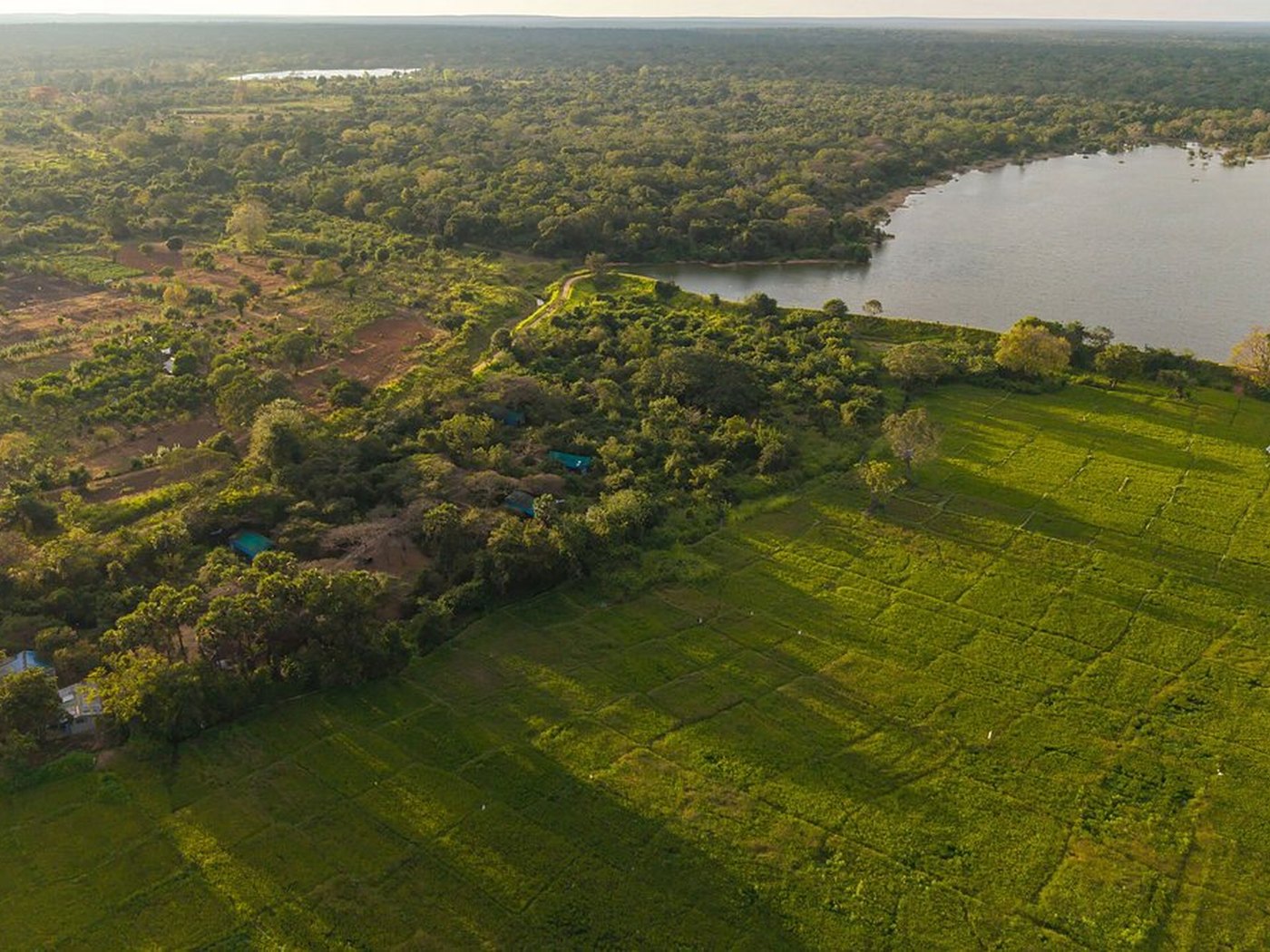 Wilpattu Safari Camp in Sri Lanka