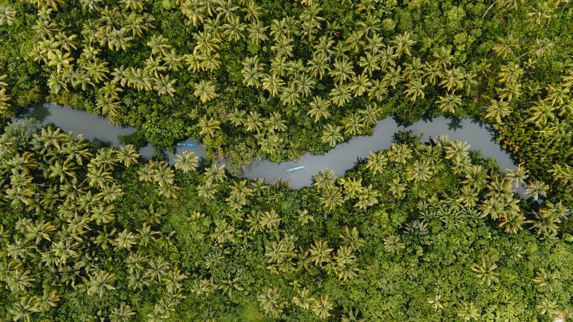 A narrow backwater canal beside a palm fringed Kerala beach