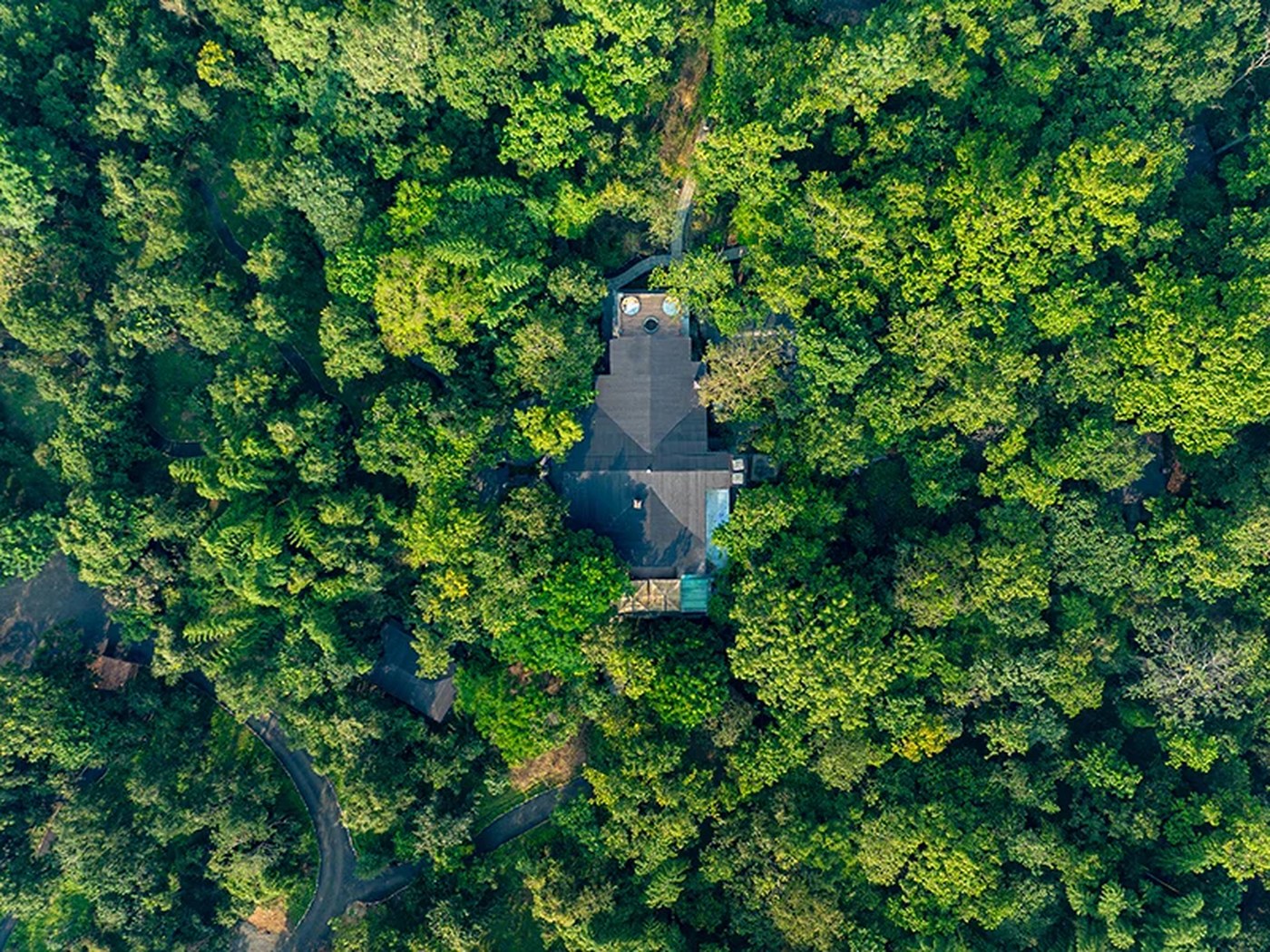 Singinawa Kanha in Kanha National Park, India