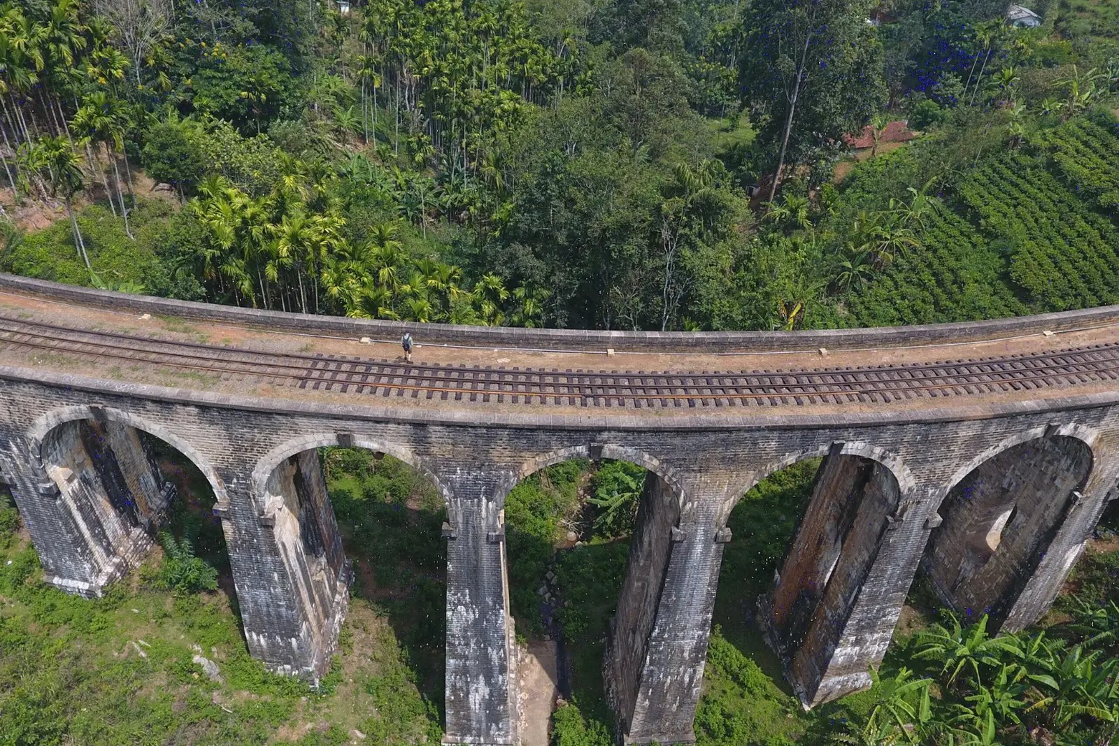 Sri Lanka Hill Country Tour in Sri Lanka