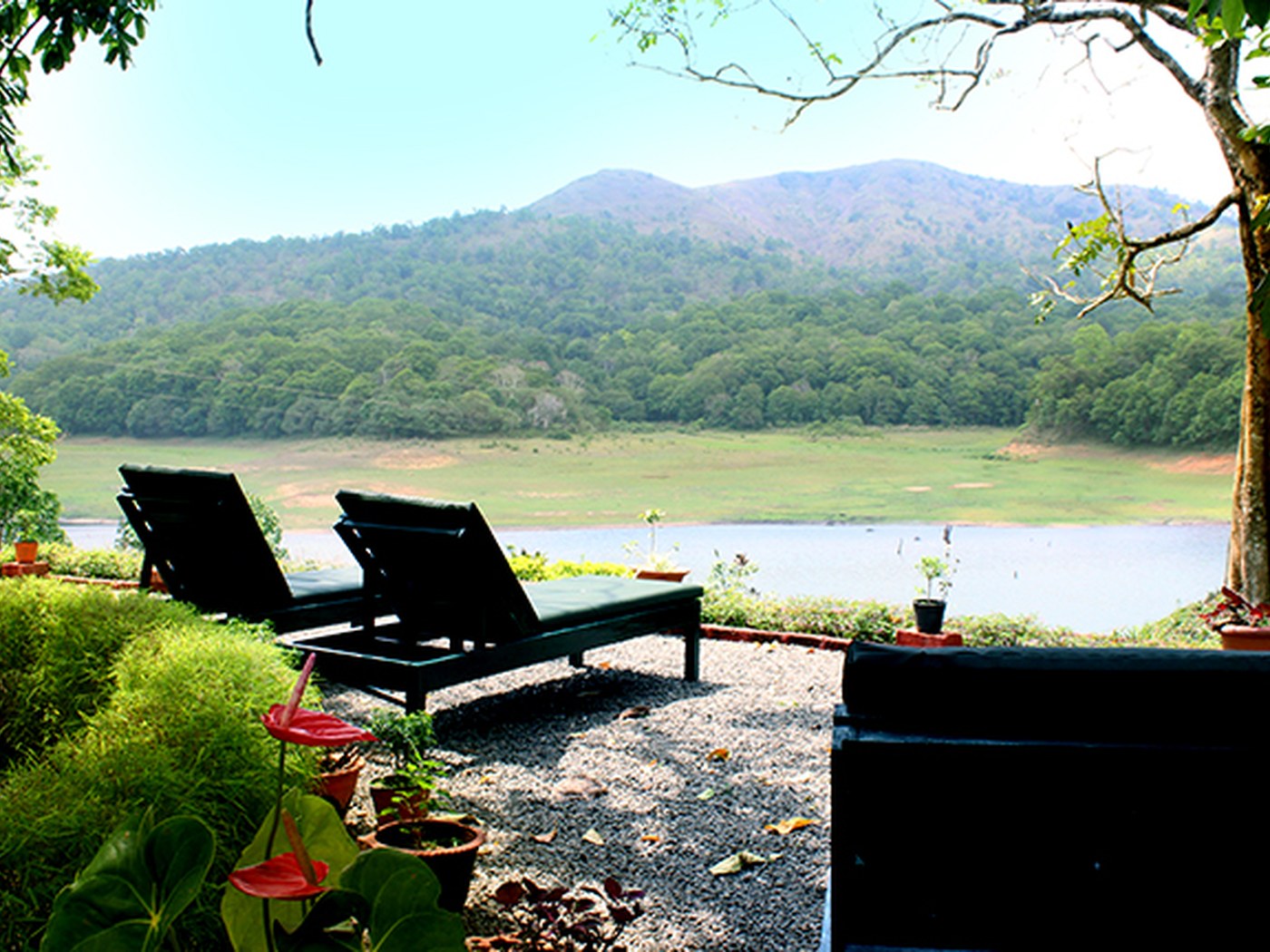 Lake Palace 5 at Lake Palace Thekkady