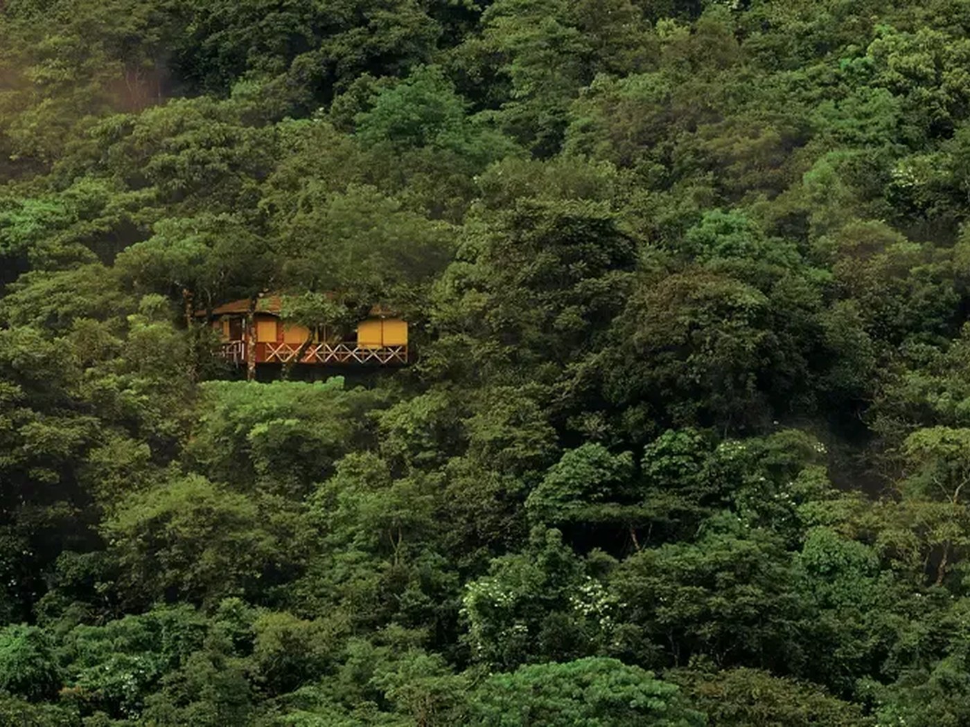 A far shot of some cottages set in greenery Vythiri Resort at Vythiri Resort