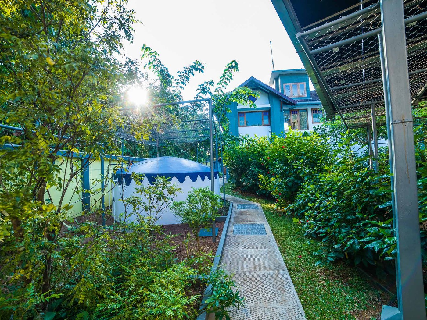 Pool and stained glass verandah at Hibiscus Villa on Vembanad Lake