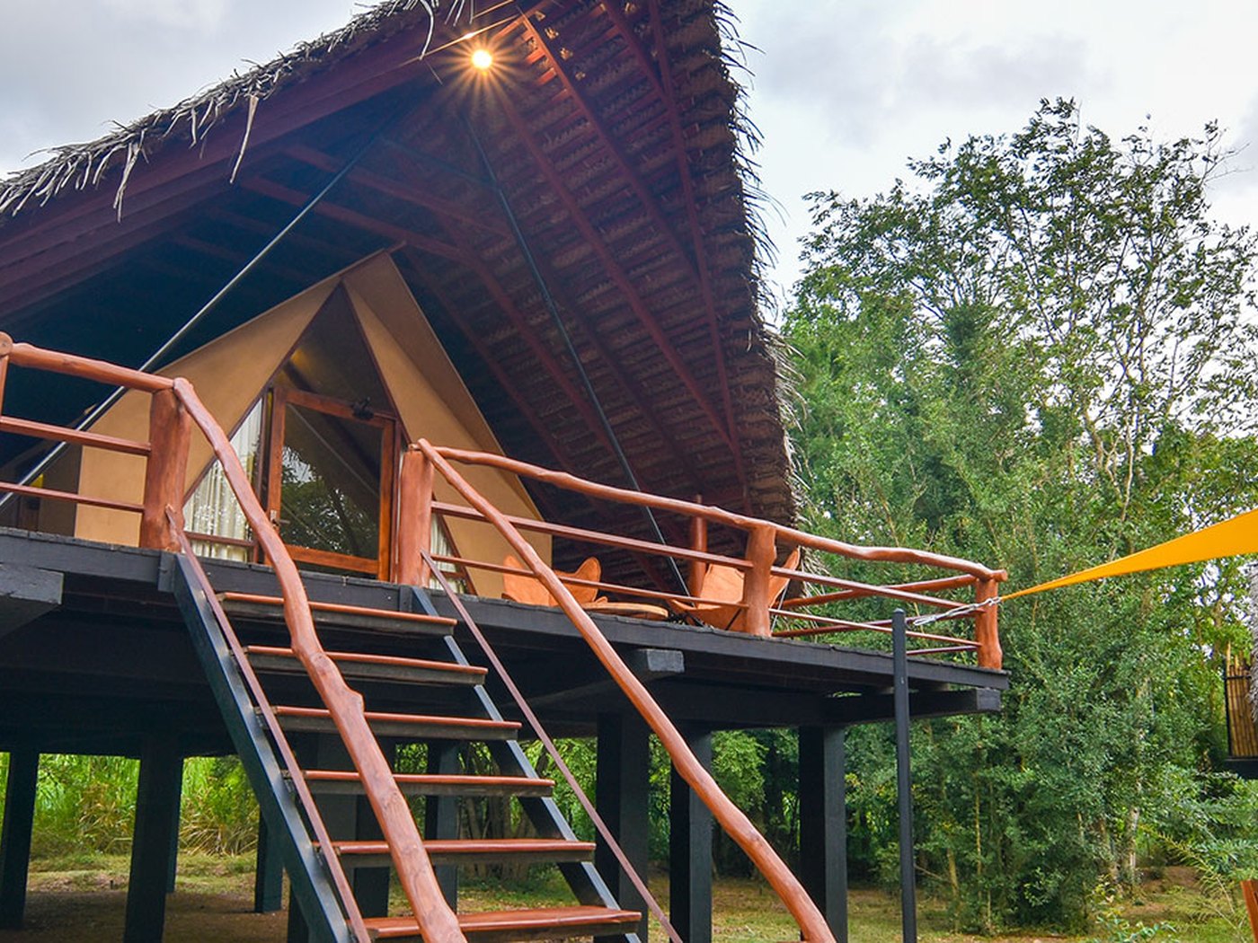 Thamaravilla wilpattu in Sri Lanka