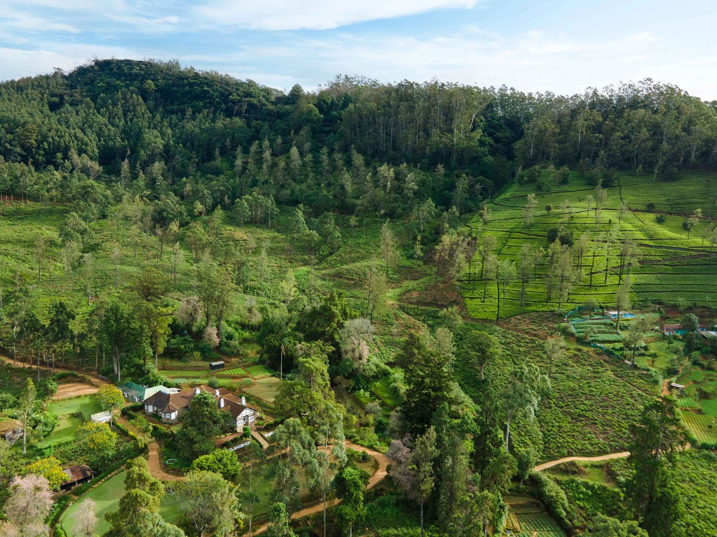 Scottish Planter BUngalow NEliya hotel view