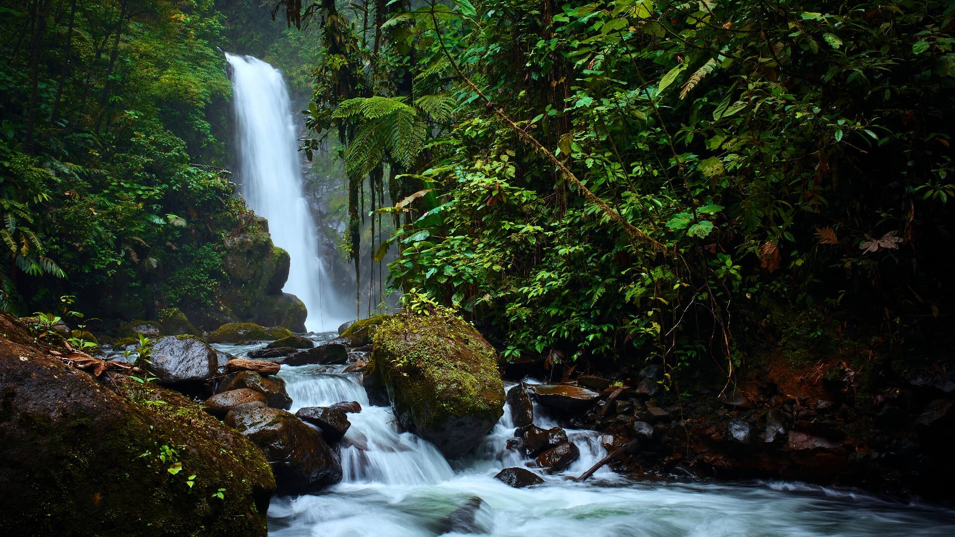 A rainforest waterfall tumbling into a rocky river surrounded by dense green jungle in Costa Rica