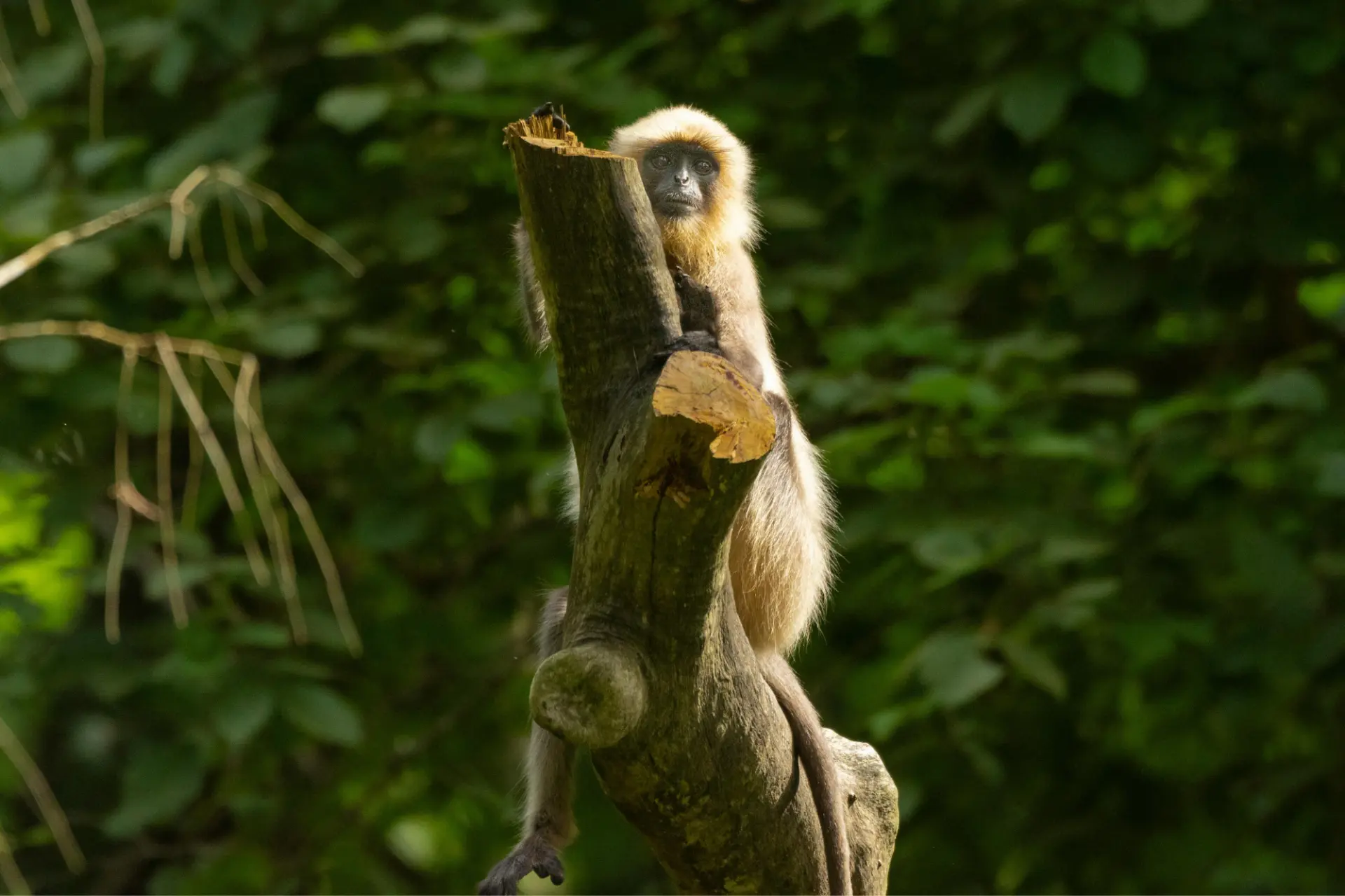 Family North Kerala, 9 Nights itinerary in Kerala