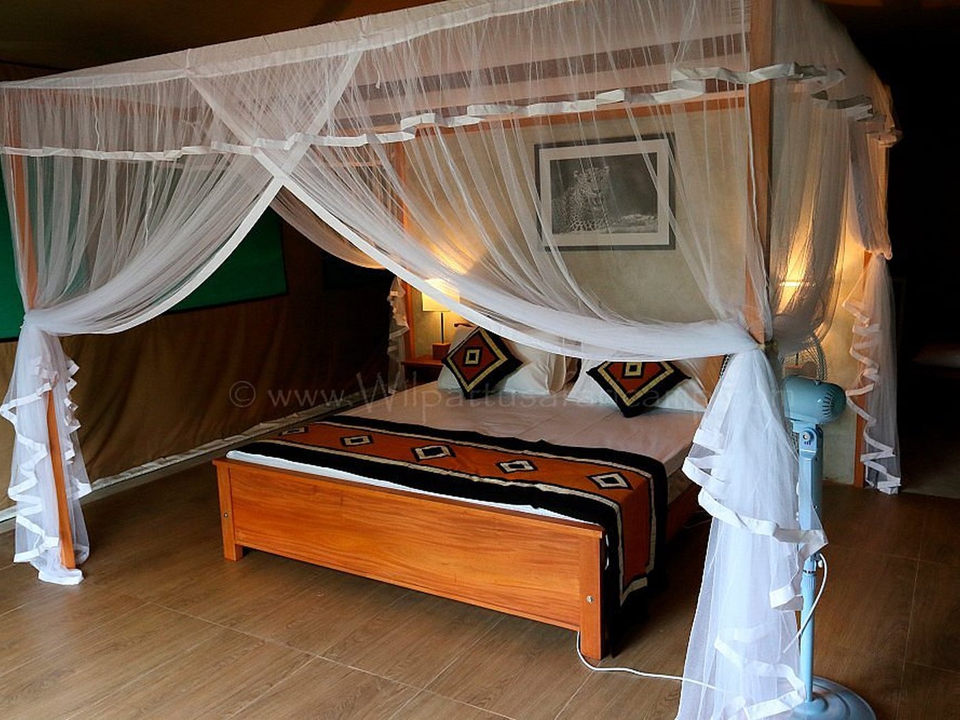 Wilpattu Safari Camp hotel view