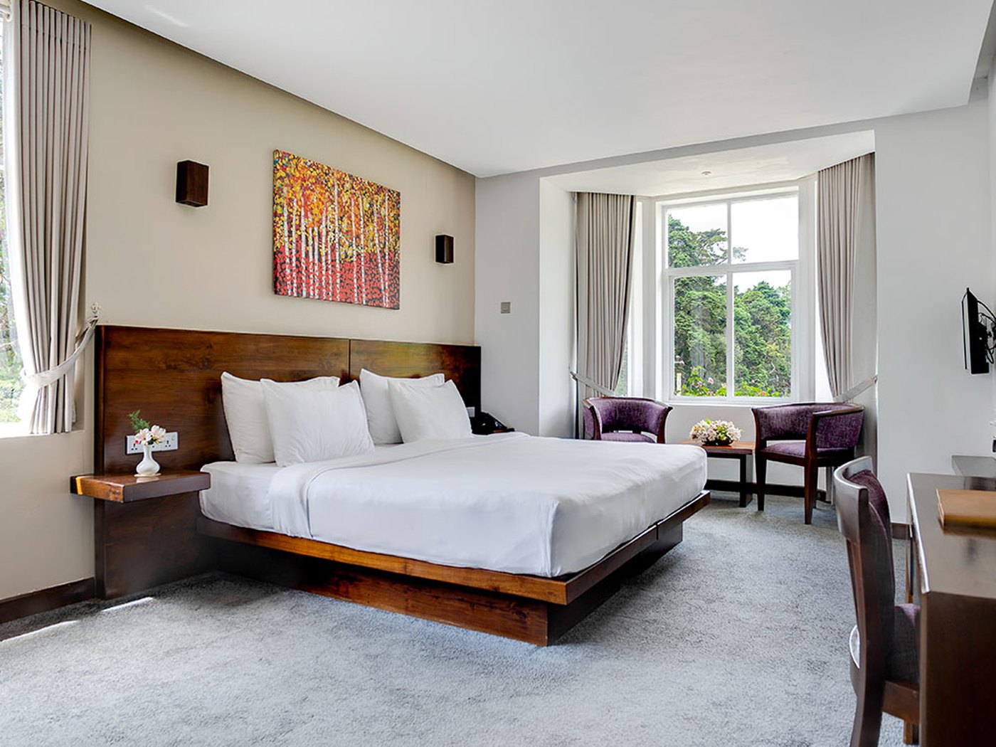 Galway Heights NEliya hotel view