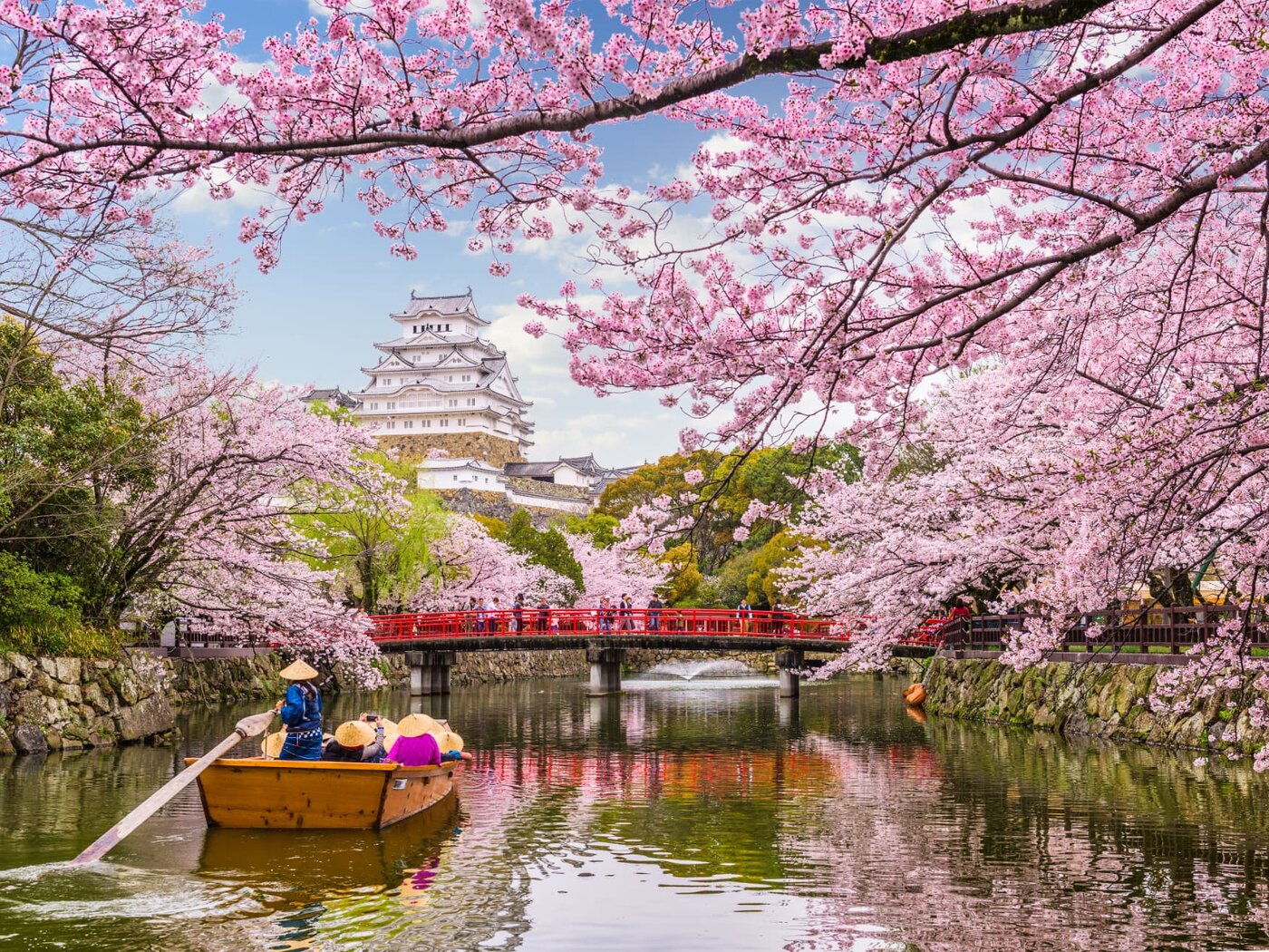 Cherry blossom framing Himeji Castle, with a traditional boat on the moat