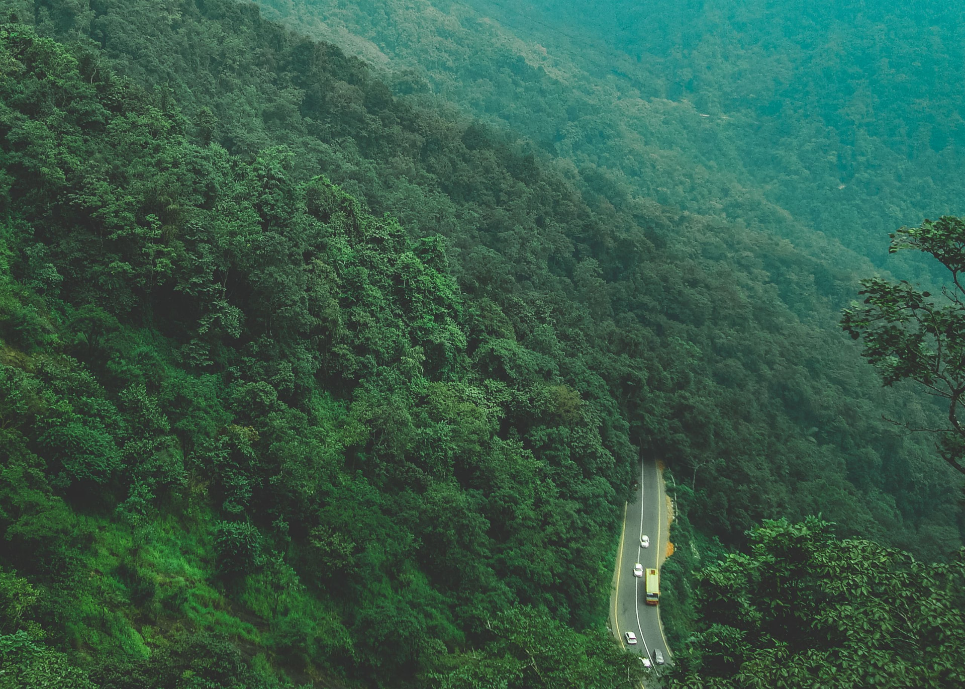 A winding road through forested hills in Wayanad