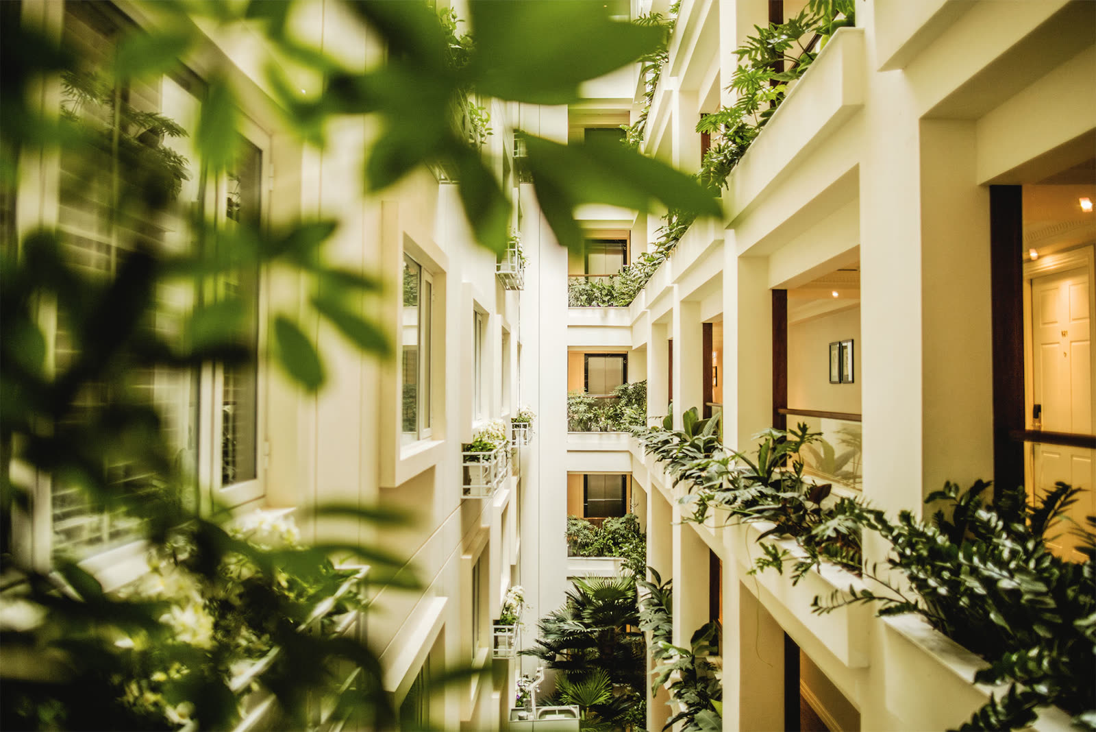 Photograph of Apricot Hotel, Ha Noi in Ha Noi