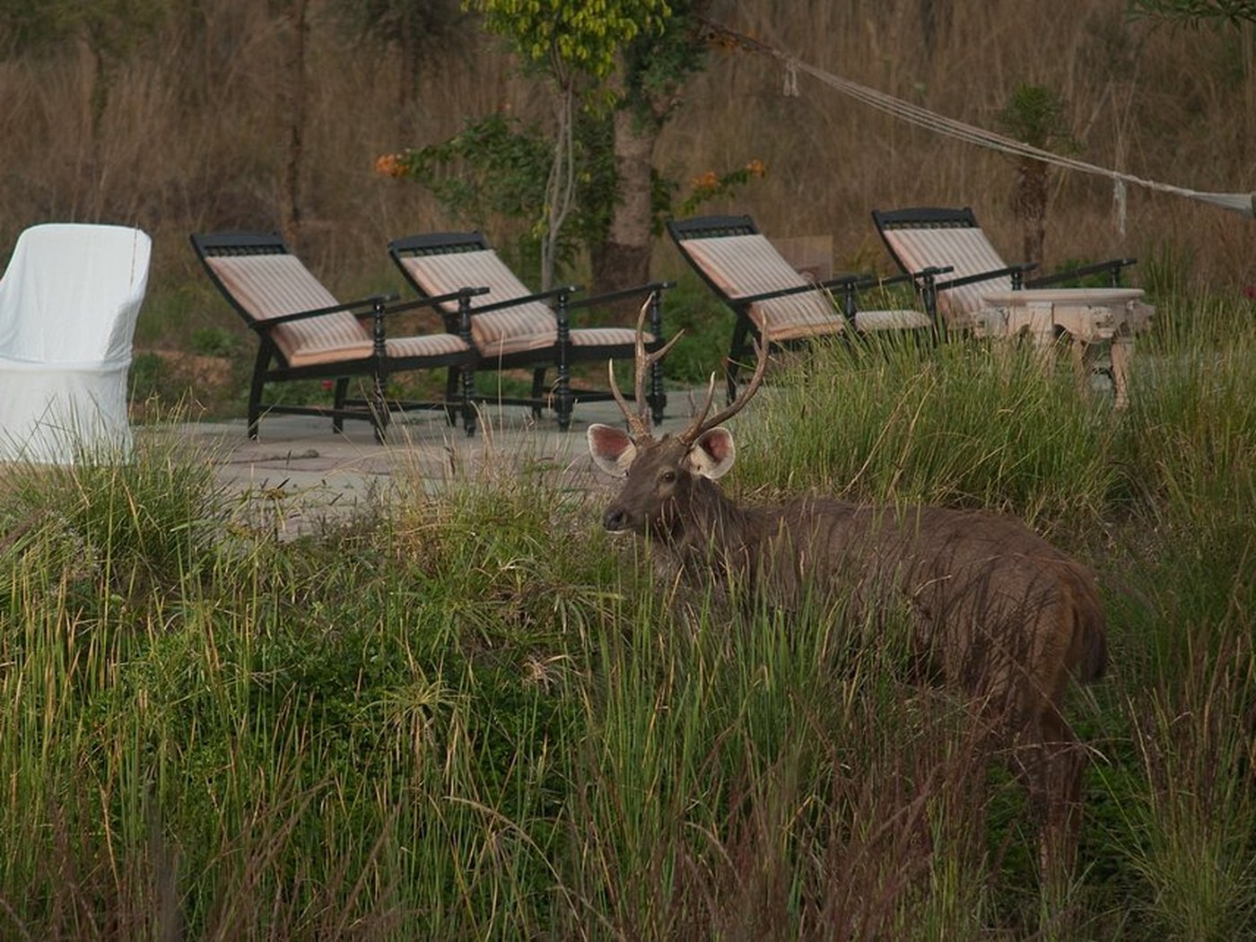 Khem Vilas Heritage Hotel in Ranthambore National Park, India