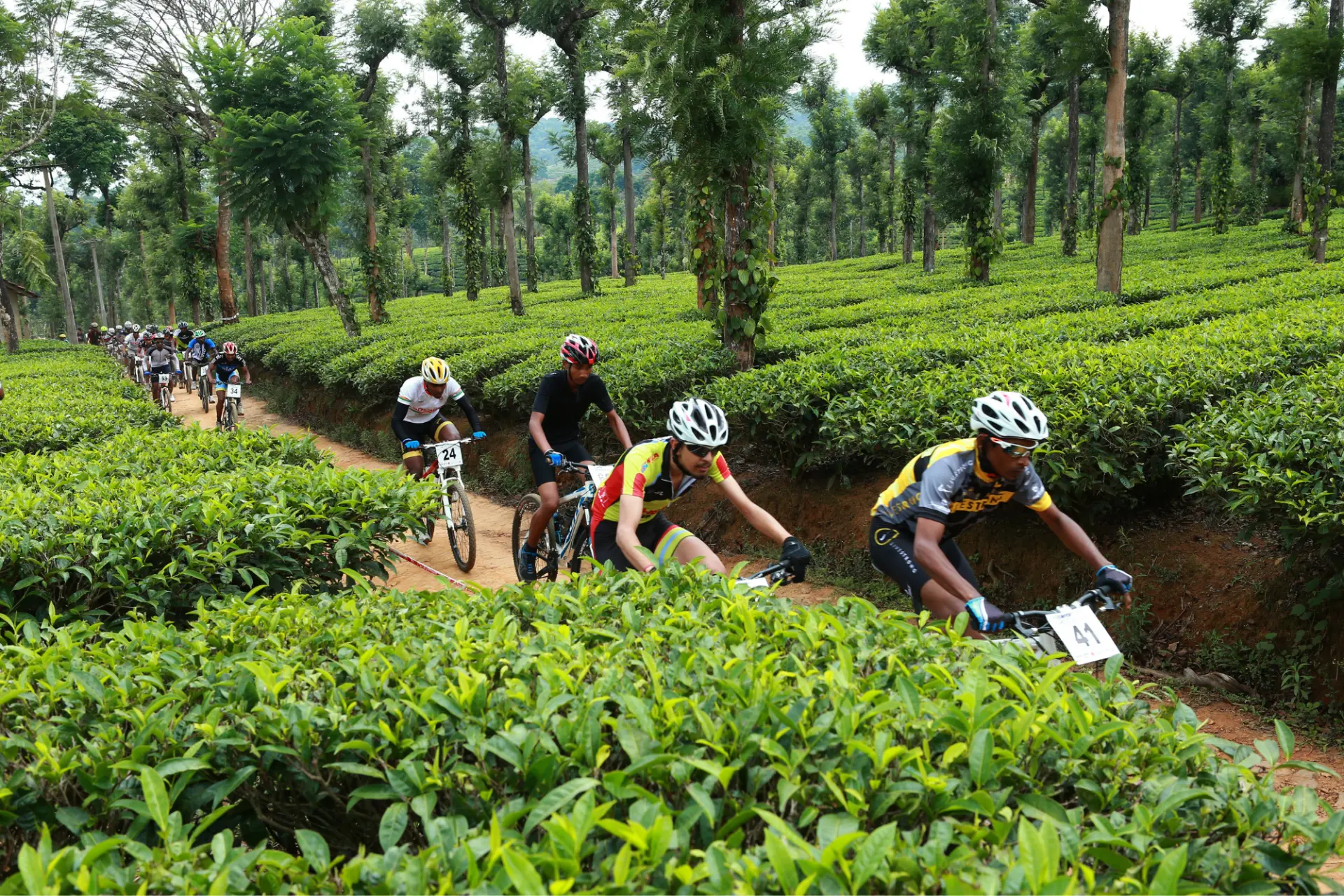 Cycling and hiking through the Kerala hill country