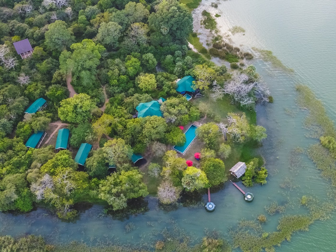 Flameback Eco Lodge YAla in Sri Lanka