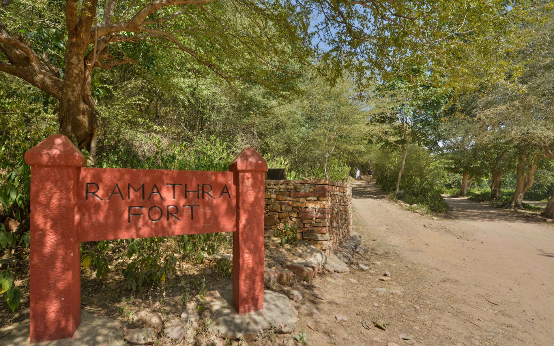The tree-lined drive up to Ramathra Fort