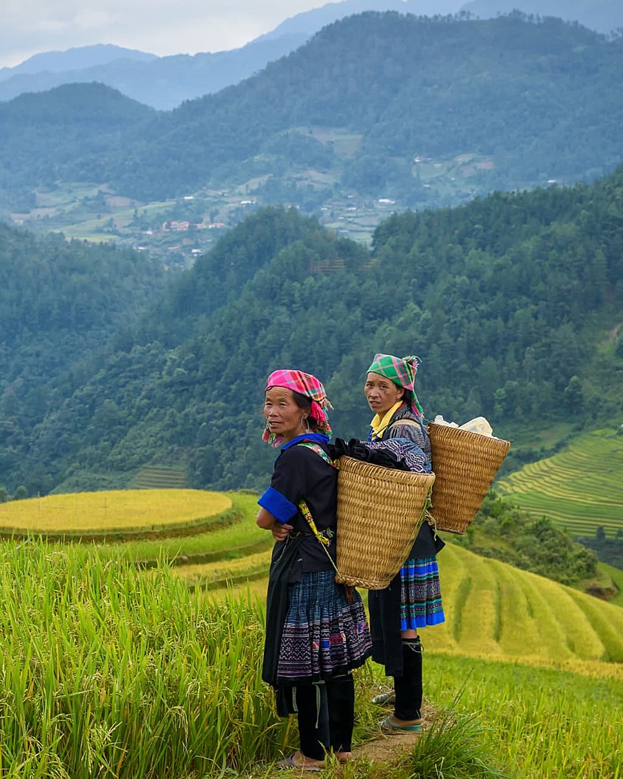 Two local women with woven baskets among emerald rice terraces in the Vietnamese highlands