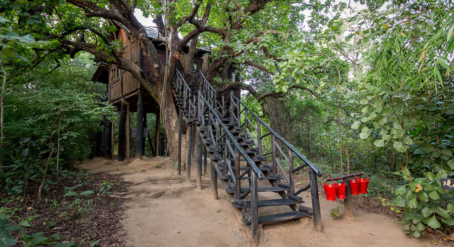 Tree House Hideaway Wildlife Resort in Bandhavgarh, India