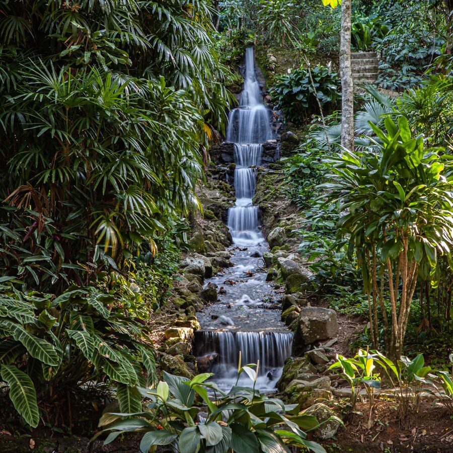 A tiered waterfall running through lush Brazilian rainforest