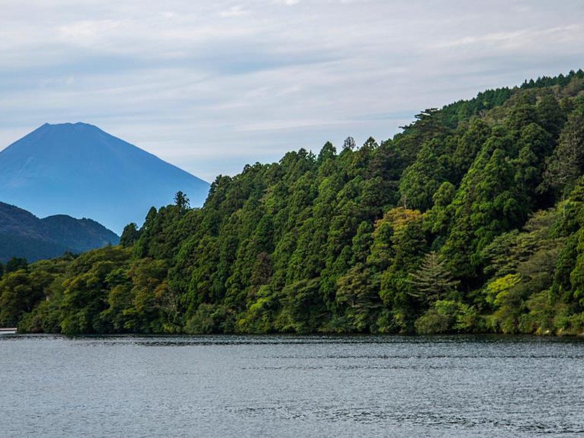 Mount Fuji and the lakeside torii gate at Lake Ashi, Hakone