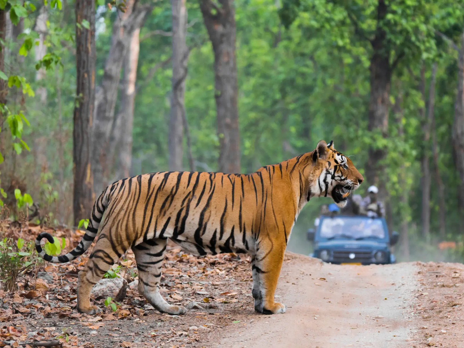 Family Tour: South India itinerary in India