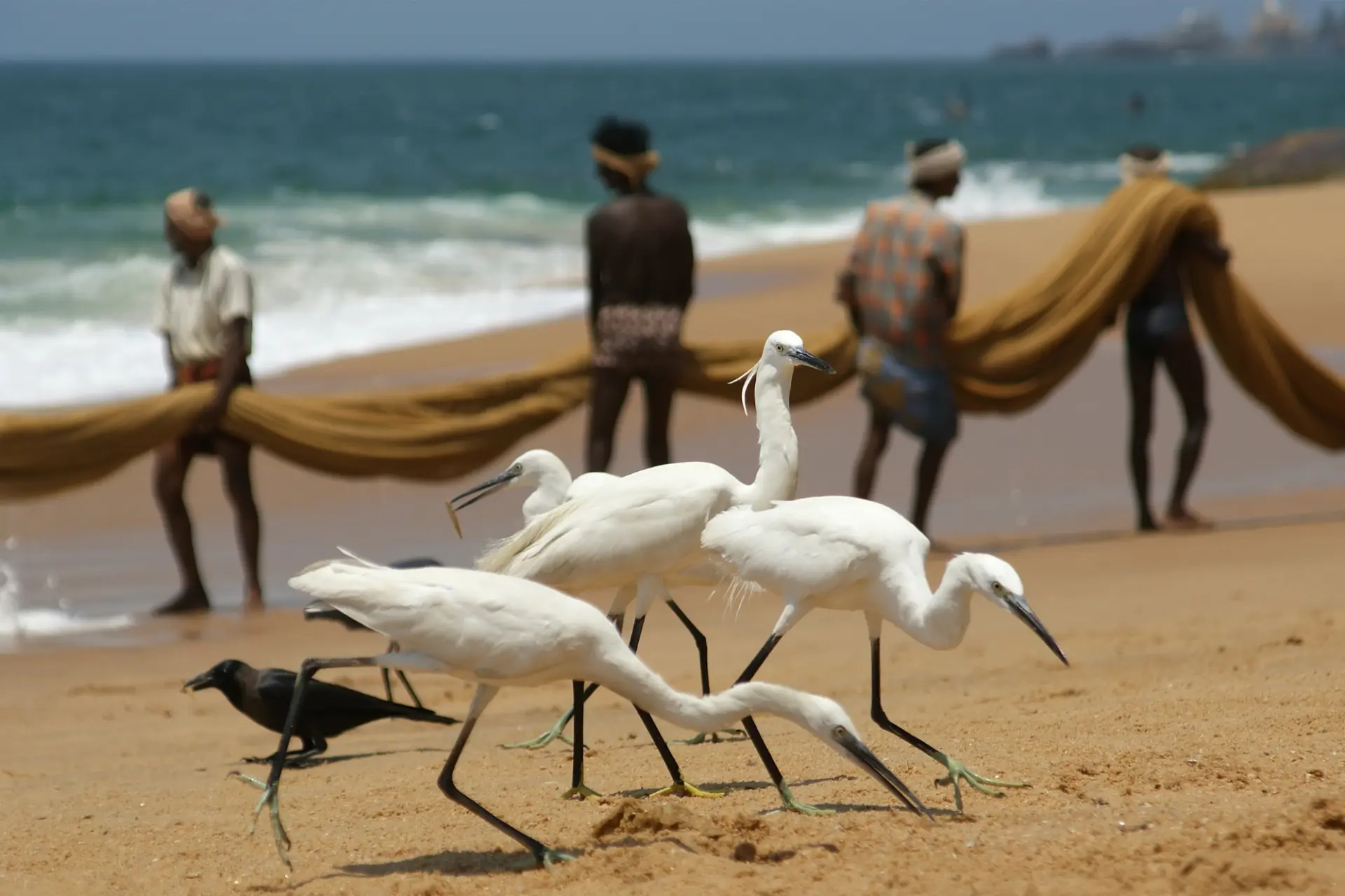 Exploration South Kerala, 9 Nights itinerary in Kerala