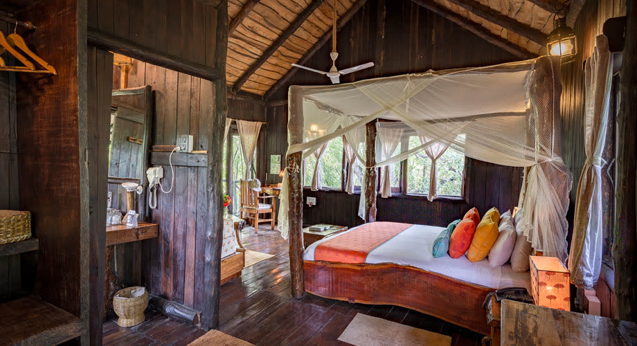Photograph of Tree House Hideaway Wildlife Resort in Bandhavgarh