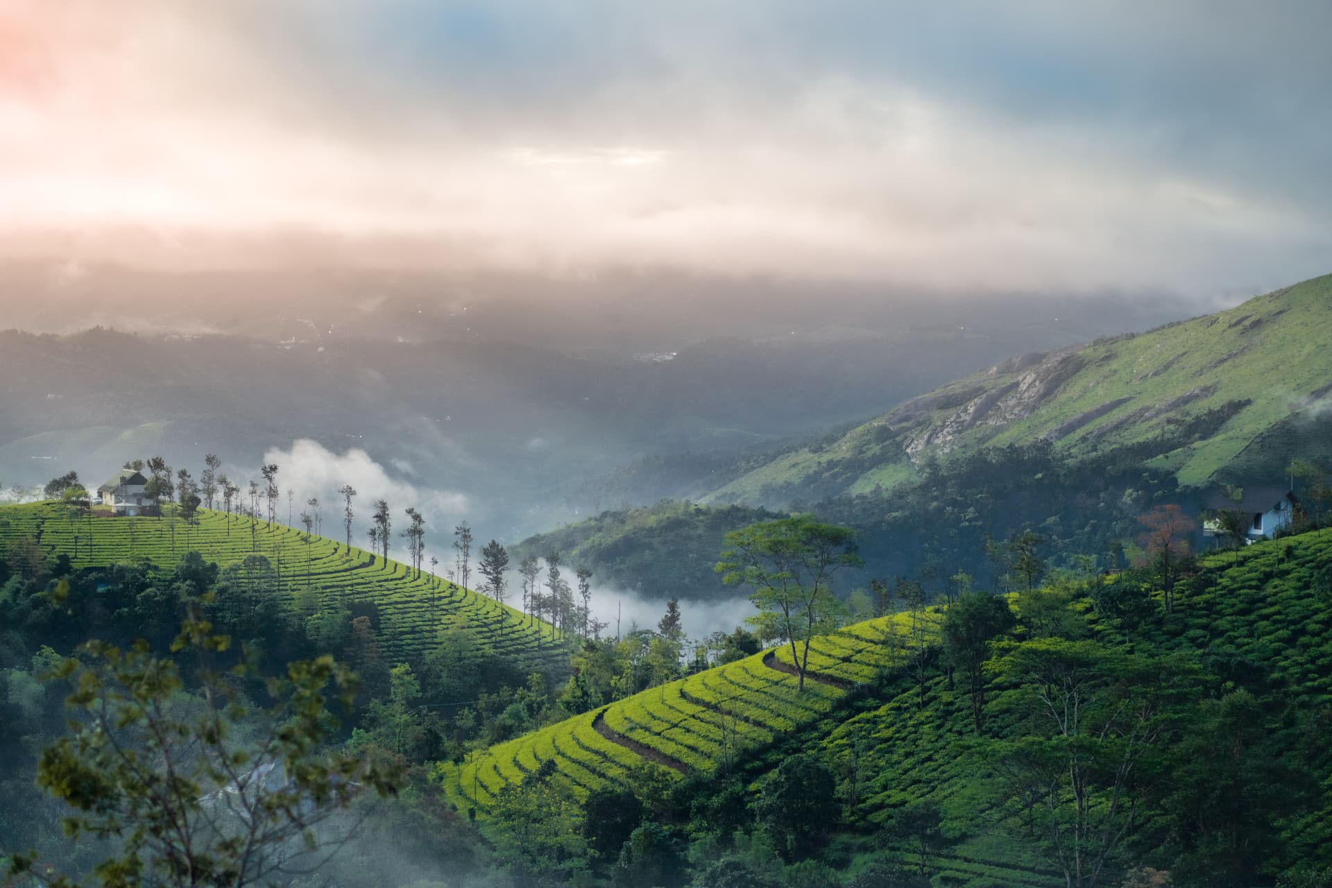 Kerala Hiking and Nature itinerary in Kerala
