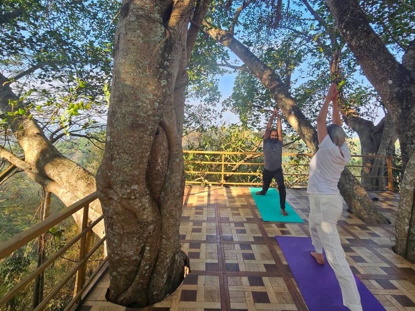 Chamundi Hill Palace Ayurvedic Resorts in Kanjirapally, India