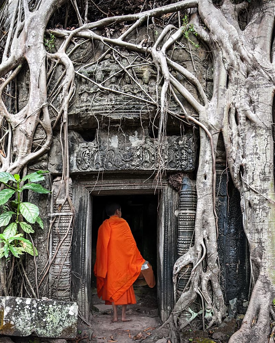 A monk in orange robes entering an ancient stone temple doorway wrapped in tree roots