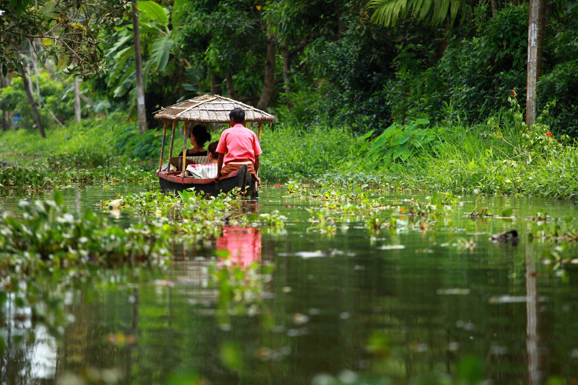 A small covered boat passing through a green Kerala backwater canal