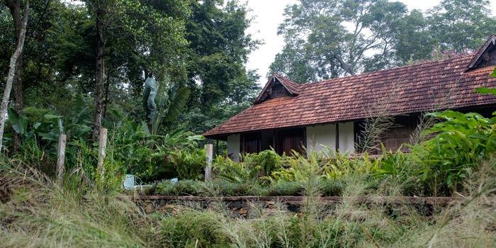 Rajakkad Estate garden house surrounded by trees