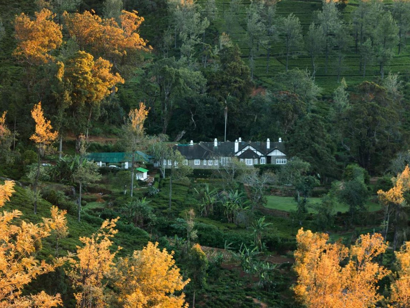 Scottish Planter BUngalow NEliya in Sri Lanka