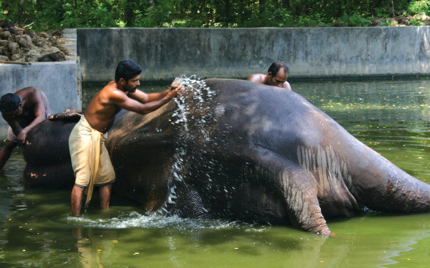 Scene from the Classic South Kerala tour