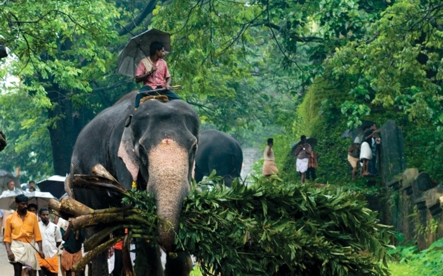 Scene from the Classic South Kerala tour