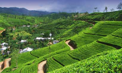 Sri Lanka Classic Discovery Tour
