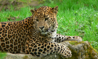 Sri Lanka Classic Discovery Tour