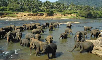 Sri Lanka Classic