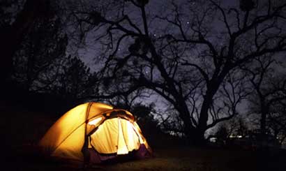 Sri Lanka Wildlife Tour 9 Nights