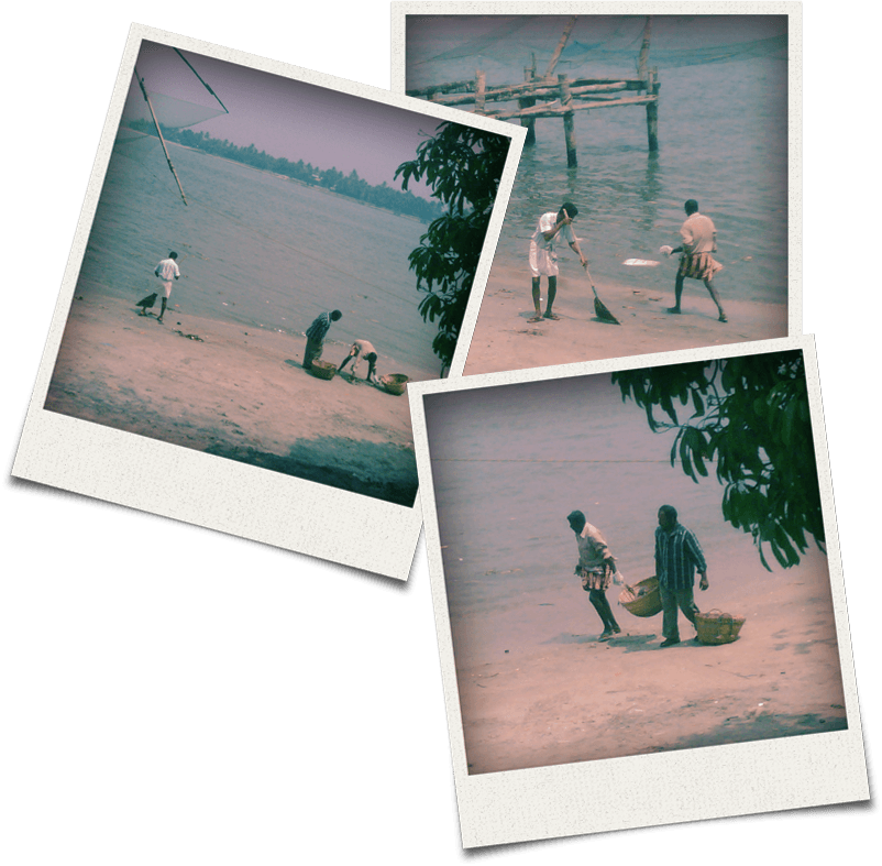 polarois.png