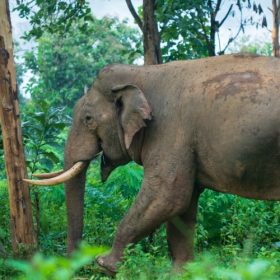 Family Holiday - North Kerala